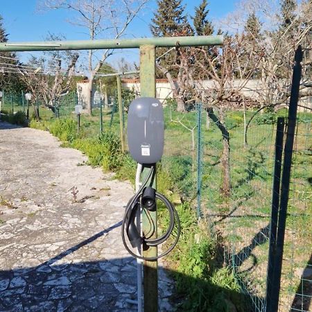 B&B Quattrostelle Cavallino di Lecce Eksteriør billede